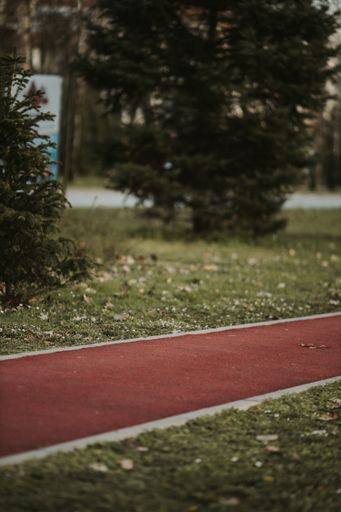 A closeup of a running track in the autumn pa
