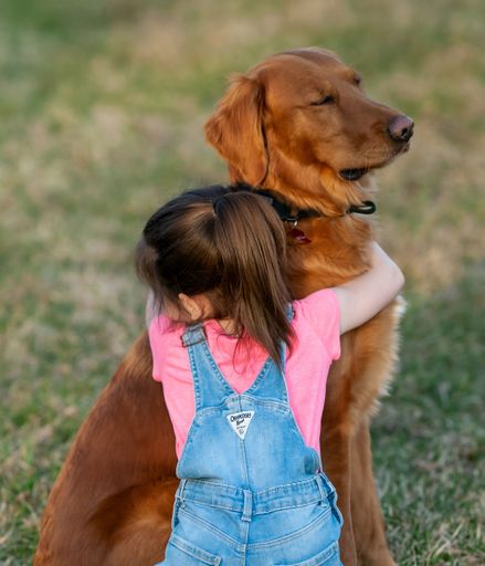 A vertical shot of a little girl hugging a Golden retriever dog