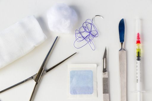 A top view of a stainless dissection kit on a white background