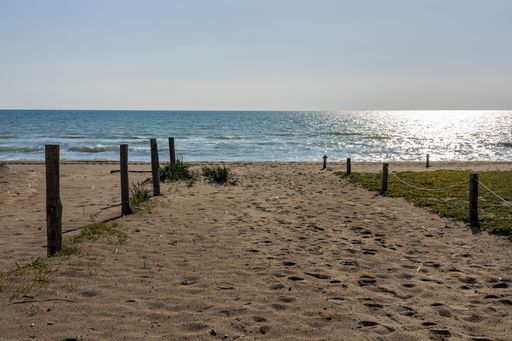 A vast stretch of golden sand facing the ocean on a sunny summer day