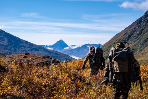 Two people walks along a serene trail, surrounded by lush and vibrant greenery leading towards a majestic mountain range in the distance