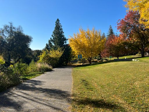 A pathway in the park surrounded by colorful autumn trees.