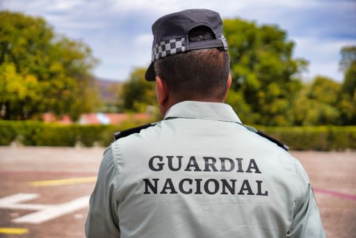 A professional national security guard stands in a residential area parking lot, wearing a uniform
