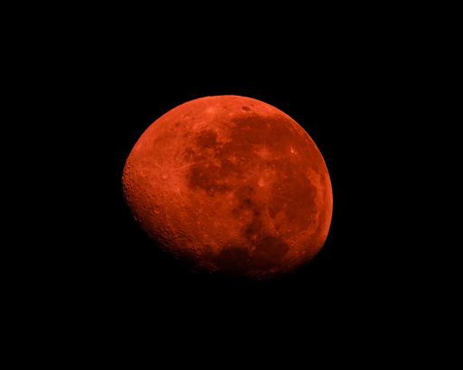 A stunning image of a Super Blood Moon eclipse in the night sky, with the full moon glowing in a deep blood-red hue