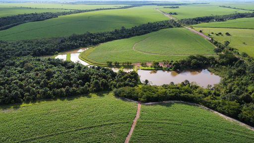 Aerial view of a serene landscape featuring a winding river snaking through lush green fields and groves of trees