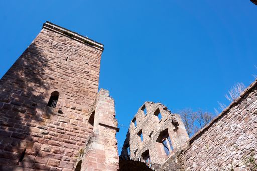 A low angle shot of a stone tower and the ruins of buildings with dry trees under the clear sky