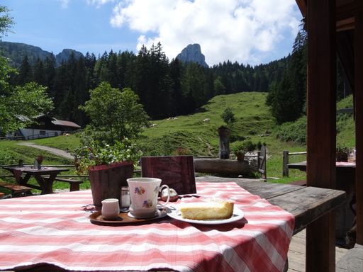 coffee break at the Brander Alm near Ruhpolding with cake and a view to Hoerndlwand mountain, Bavaria, Germany