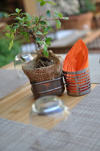 A vertical shot of a potted small trees and napkins on a restaurant table