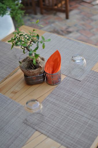A vertical shot of a potted small tree and napkins on a restaurant table