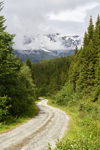 A vertical shot of a path in the forest surrounded by mountains in Vossevangen, Voss, Norway
