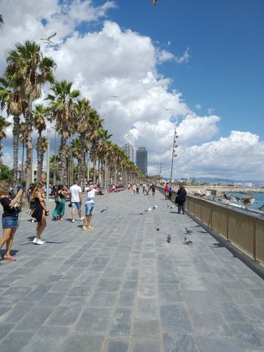 People photographing seagulls on the promenade of Barceloneta in Barcelona, in the background Hotel arts and Villa Olimpica