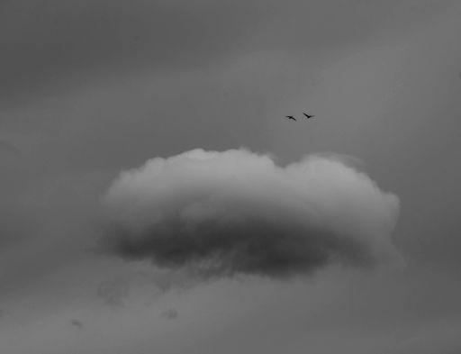 A black and white shot of a single fluffy cloud and two birds flying in the sky on a gloomy day