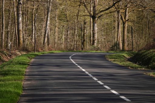 An idyllic scene of an asphalt road, lined with trees on either side, stretching into the distance