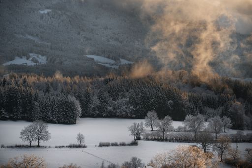 A stunning image of a snow-covered field and evergreen trees in Madeira, Portugal