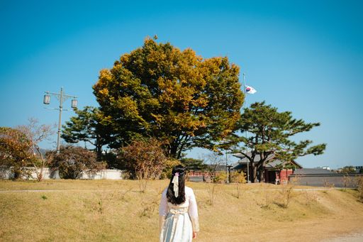 A young woman wearing a traditional Korean Hanbok is walking in a meadow, heading towards a wooded area in the distance