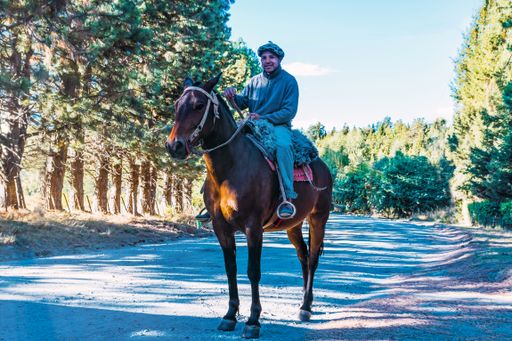 A Hispanic cowboy from Argentina riding his horse in Patagonia.