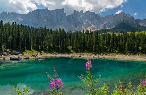 A scenic landscape featuring a lake surrounded by fir forest trees and mountains