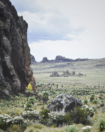 The iconic "Dragons Teeth" rock formation at Mt Satima, Aberdares, Kenya, a favorite spot for hikers.