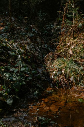 A small stream of water cascading down a rocky terrain in Slovenia, near Janzeva gora