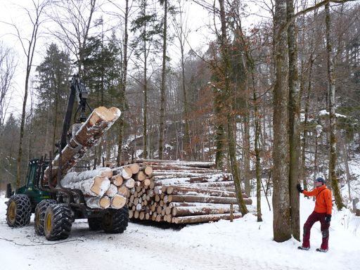 A man standing near a tractor with wood in front of him
