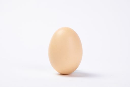 A closeup shot of a single egg isolated on white background
