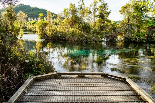 The stunning pupu springs in new zealand on a clear sunny day