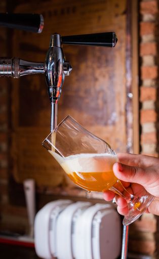 An expert bartender is serving a pint of beer on the counter of a traditional bar