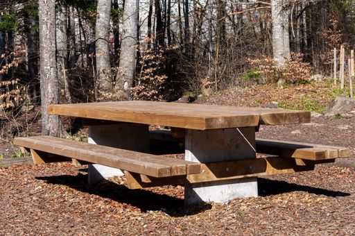 A wooden picnic table sits amongst a dry brown forest, providing a scenic outdoor dining experience
