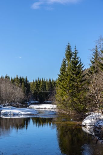 A tranquil stream meanders through a lush forest near the More og Romsdal Mountains in Norway
