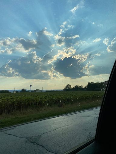 A vertical of a sunlights beaming through fluffy clouds over a green field after rain, seen from a car window