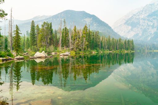 A picturesque mountain and tree reflected in a serene lake in Grand Teton National Park, Wyoming