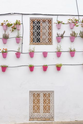 A white building wall decorated with many potted of flowers in Vejer de la Frontera, Spain
