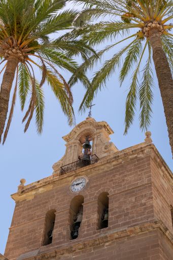 A vertical shot of the Almeria Cathedral and palm trees under a blue sky and sunlight in Spain