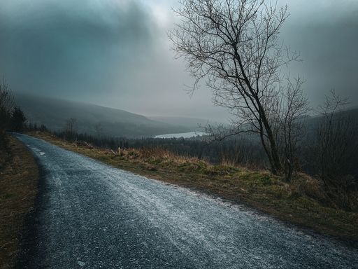 A scenic paved road winds through a lush green forest, descending a hill as it stretches into the distance