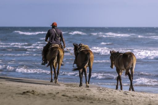 A man riding a horse with two others following him on the beach