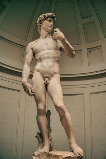 A vertical shot of the iconic marble sculpture of David standing in a museum in Florence, Italy