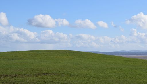A beautiful landscape of meadow under a cloudy blue sky
