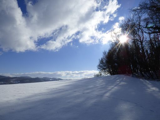 A beautiful shot of a snowy land under the bright cloudy sky in winter