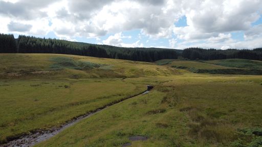 A scenic landscape featuring rolling hills surrounded by lush green trees and a winding stream snaking its way through the valley