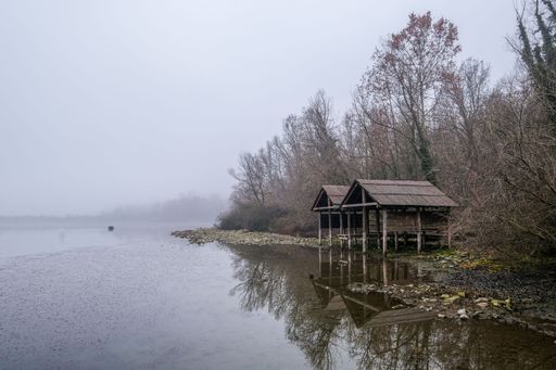 A picturesque log cabin near a tranquil lake in a forest on a foggy day