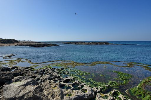 An empty rocky beach under the clear blue sky