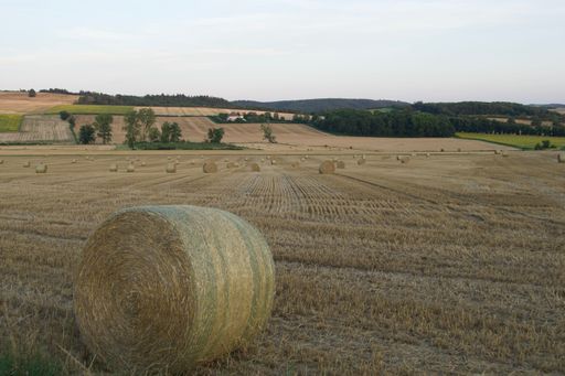 A scenic view of a grassy open field with several round bales of hay