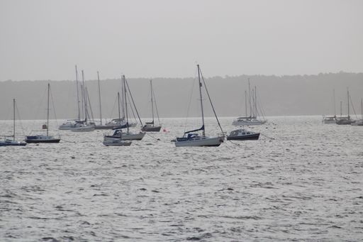 A group of sailing boats on wavy sea