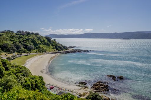A landscape of the Scorching Bay surrounded by the sea and greenery under the sunlight in Wellington, New Zealand