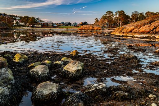 A stunning beach in Larvik, Norway, illuminated by the warm, golden rays of the sun