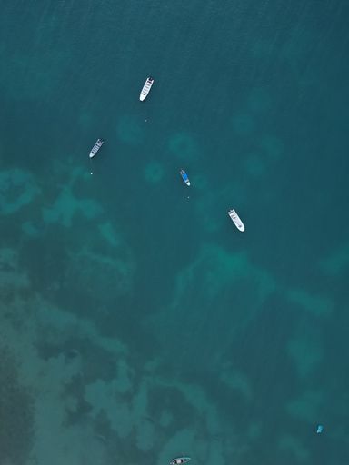 A top view of motorboats fishing in the sea near a beach