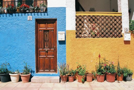 Picture of Beautiful Wooden Door of a Town House Painted in Blue and Yellow with Vivid Colors and Potted Plants on the Ground