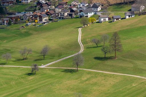 Idyllic rural scene featuring a lush, green field with trees in the foreground and a line of houses