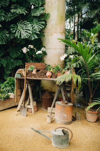 A vibrant outdoor garden, complete with a wooden table surrounded by lush green flower pots