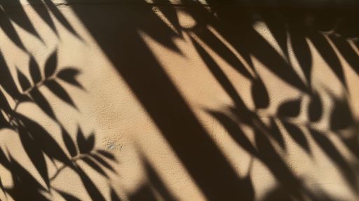 A shadow of floral patterns cast over a beige wall